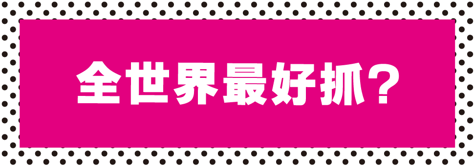 全世界最好抓？