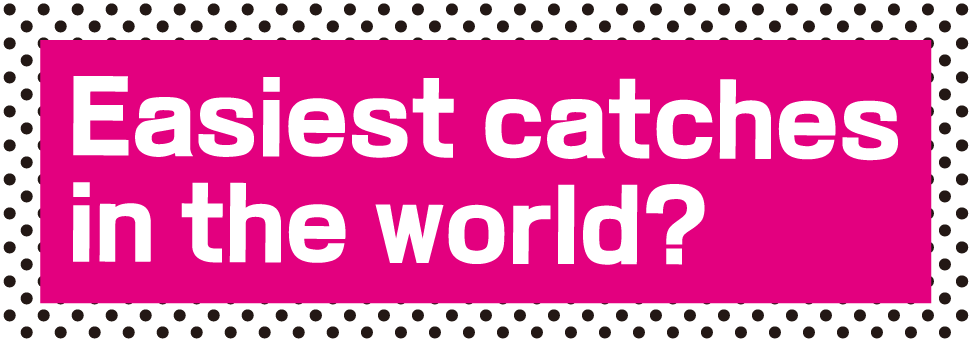 Easiest catches in the world?
